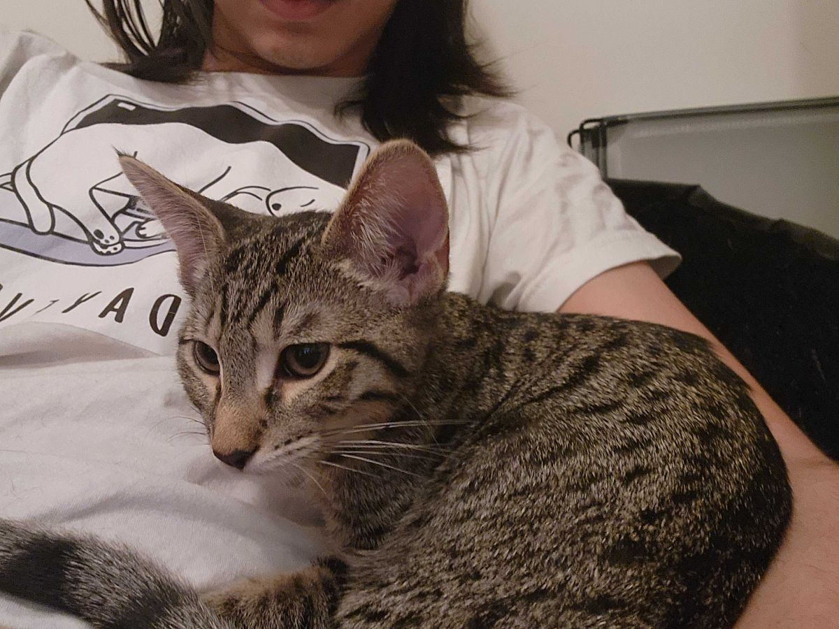 Horizontally flipped image