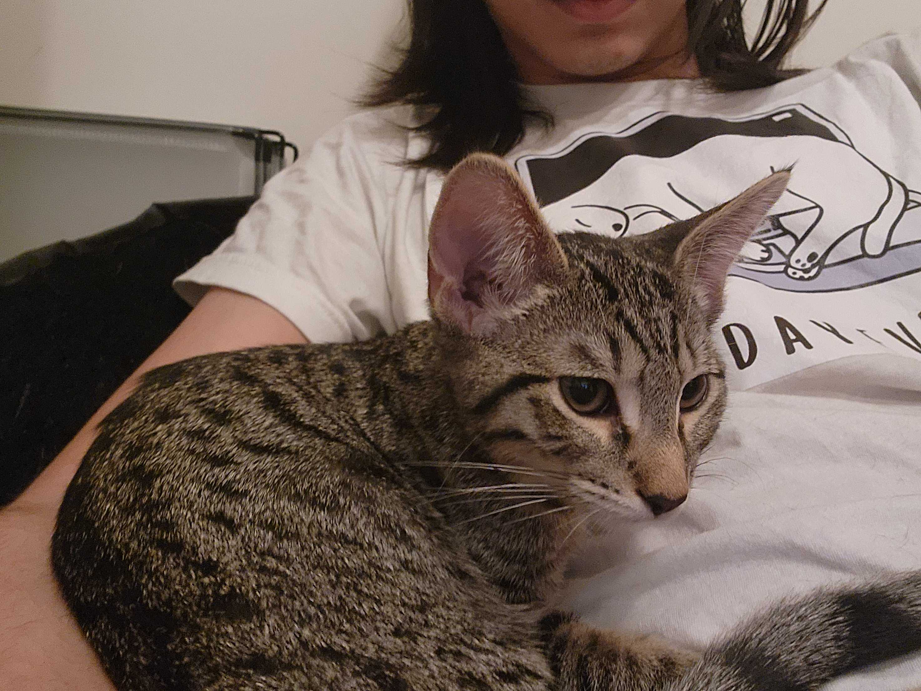 Original orientation