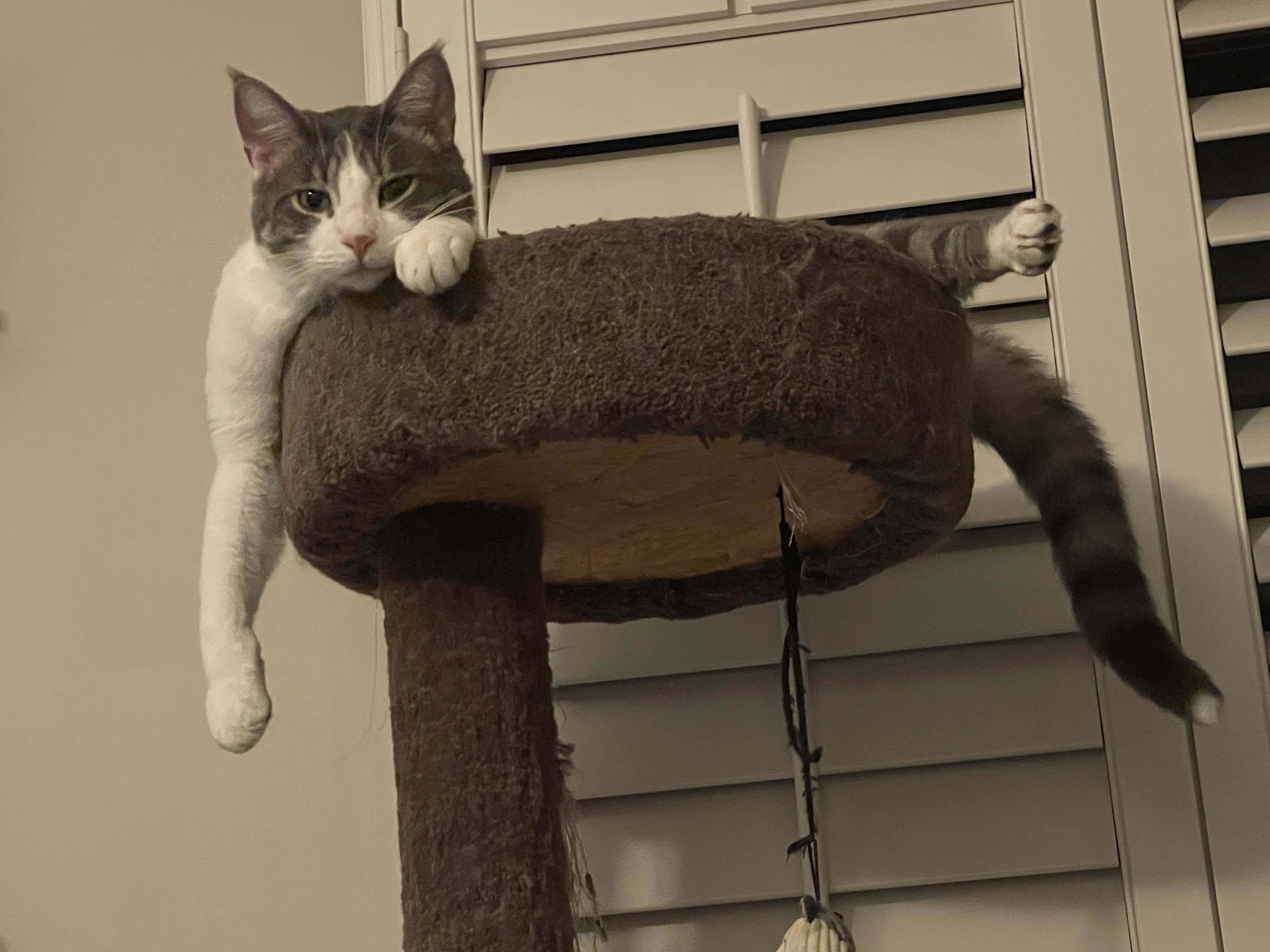 Original image slightly tilted