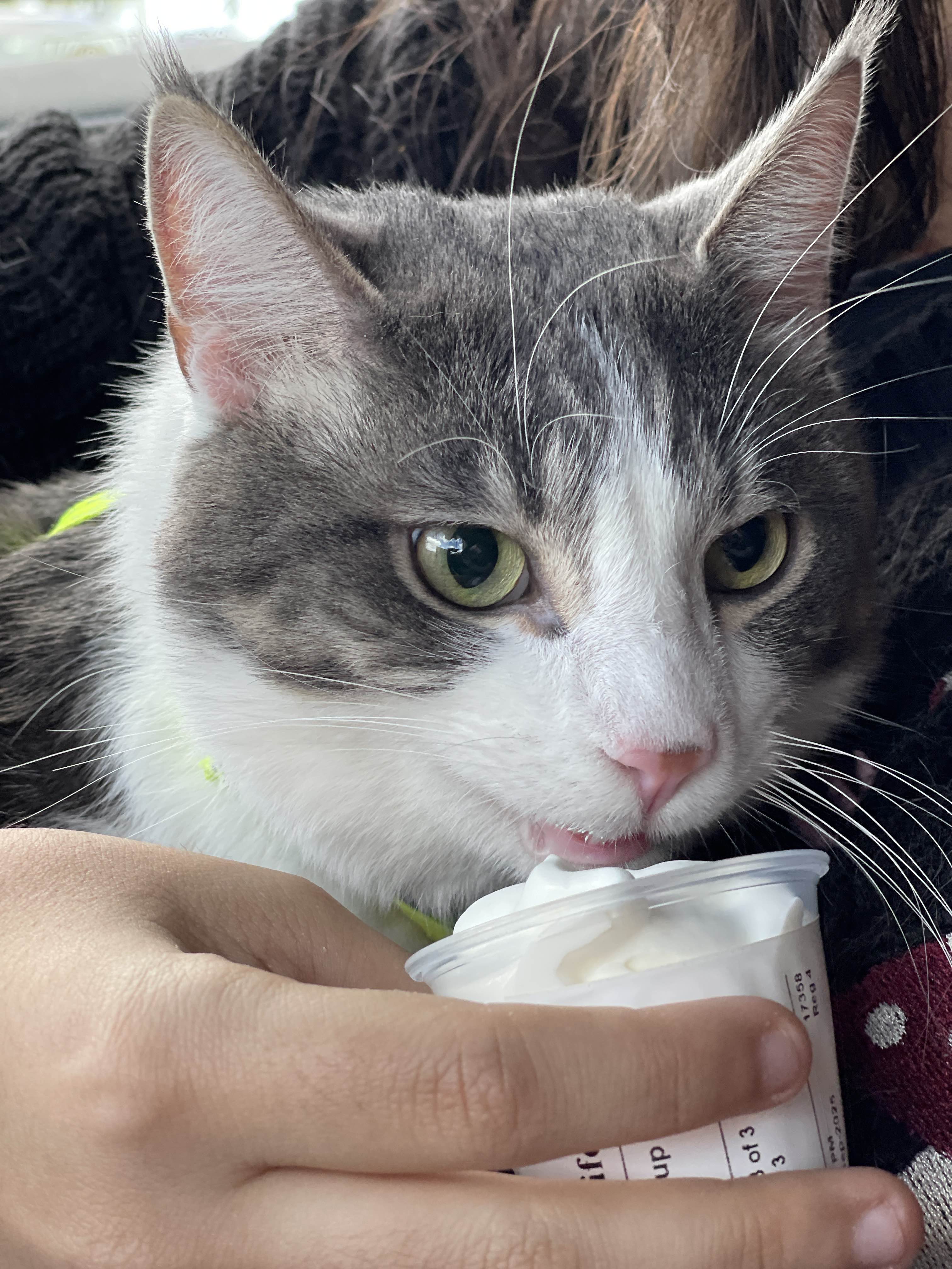 Original large image (3024px by 4032px)