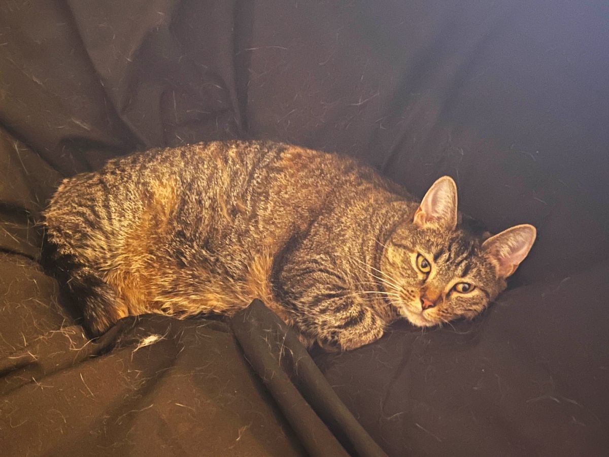 Darkened image with improved contrast, resized to 1200px width