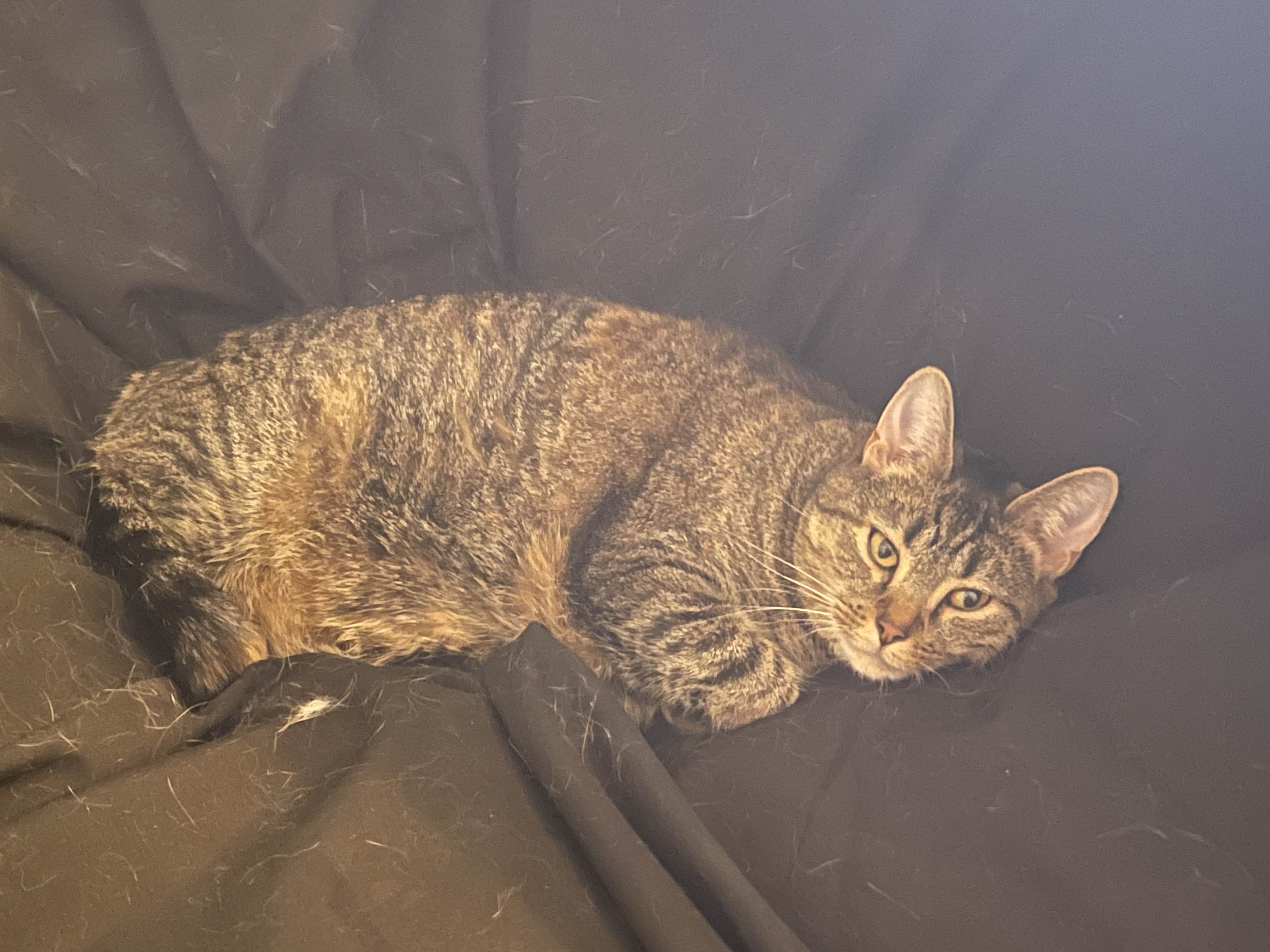 Overexposed original image